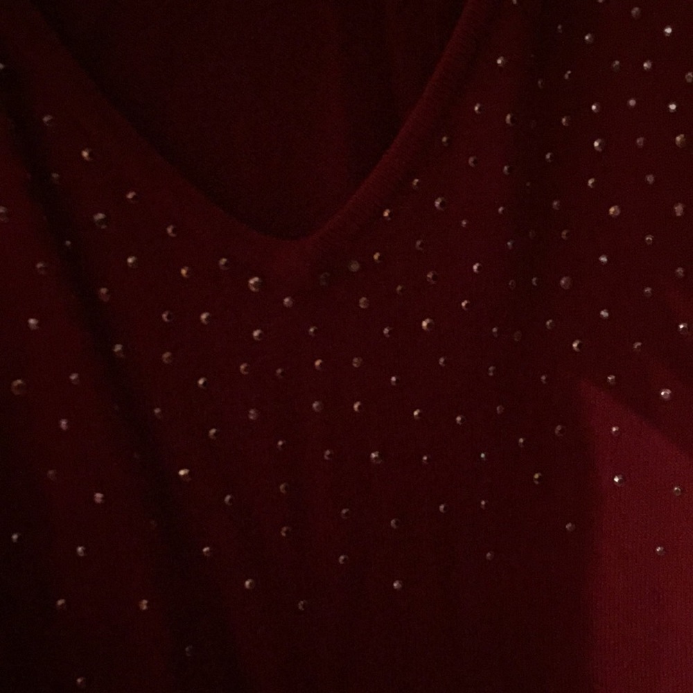 Red Vneck Sweater with Gold Accents